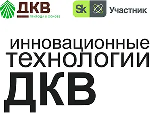 dkv38.ru.webp